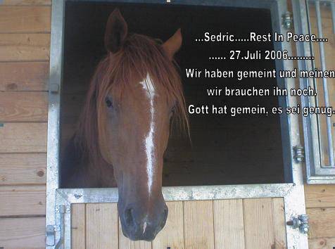 SEDRIC - 