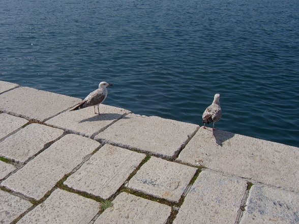 Rovinj April 2007 - 