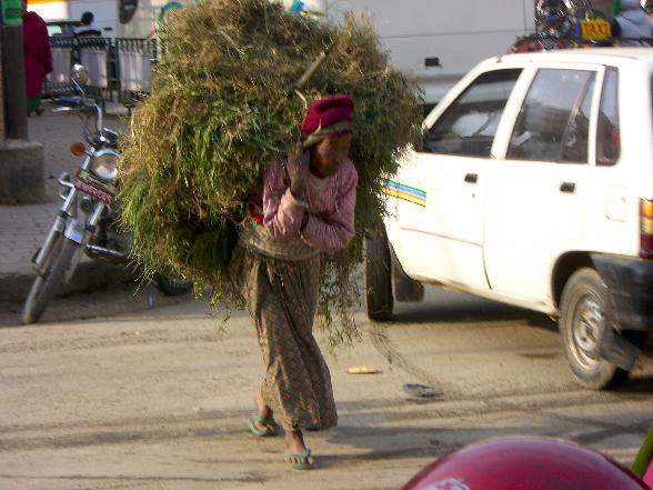 Nepal 2007 - 