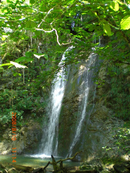 Naturschnappschüsse - 