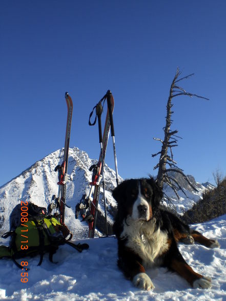 Arlingsattel über Bosruckhütte - 