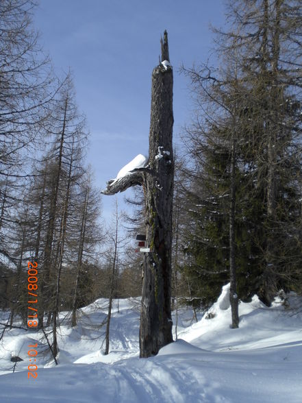 Angerkogel mit Ski 2009 - 