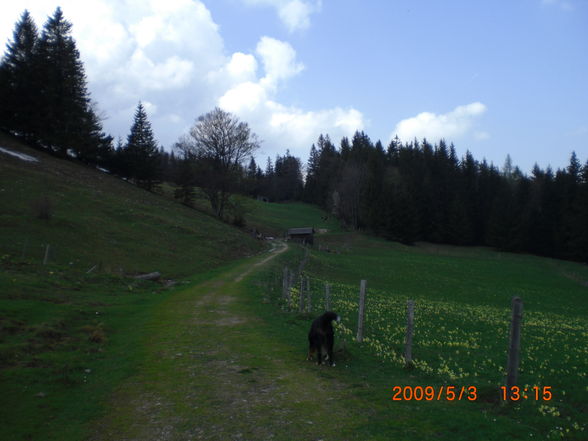 Hohe Dirn 2009 - 