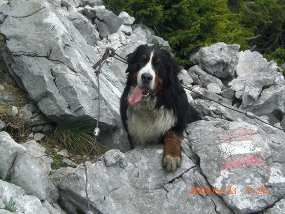 Kremsermauer,Pyramide und Törl - 