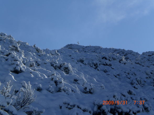 Lahnerkogel 2009 - 