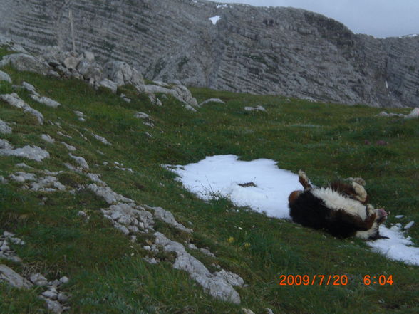 Totes Gebirge,Überschreitung, 98km  - 