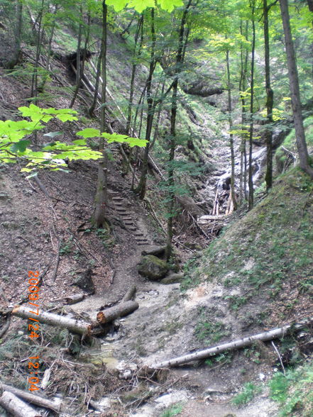 Drachenwand,Klettersteig - 