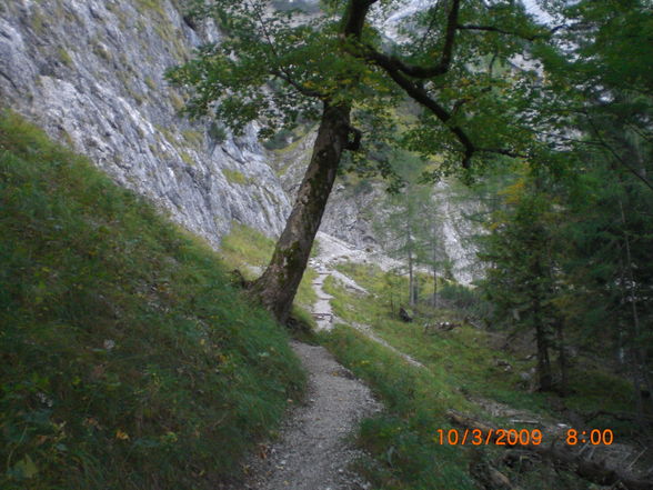 Welserhütte 1726 Meter (Tassilo) - 