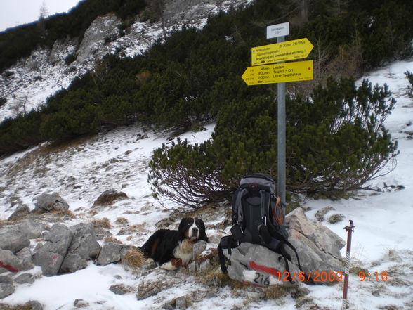 Salzsteigjoch 1733 Meter - 