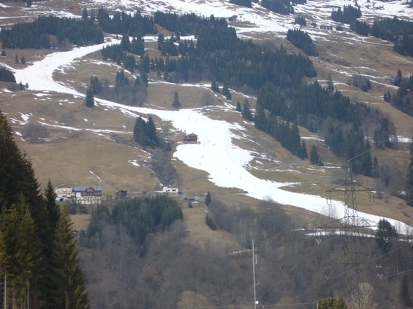 Skifahren - 