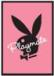 PlAyBoY HaSeN - 