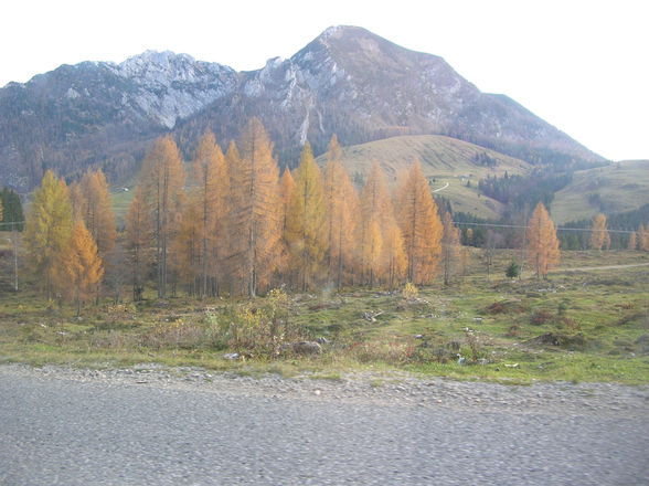 Auf da Postalm - 