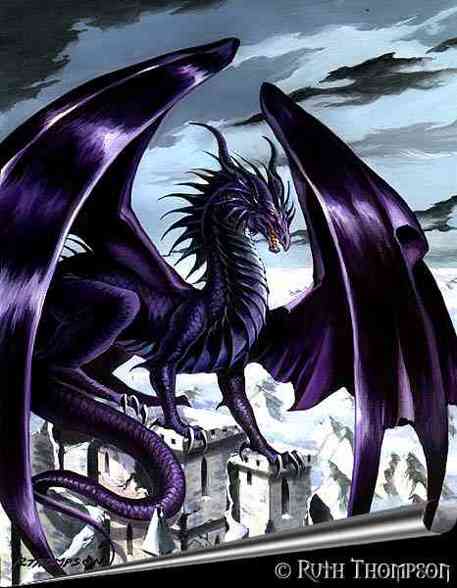 drachen - 