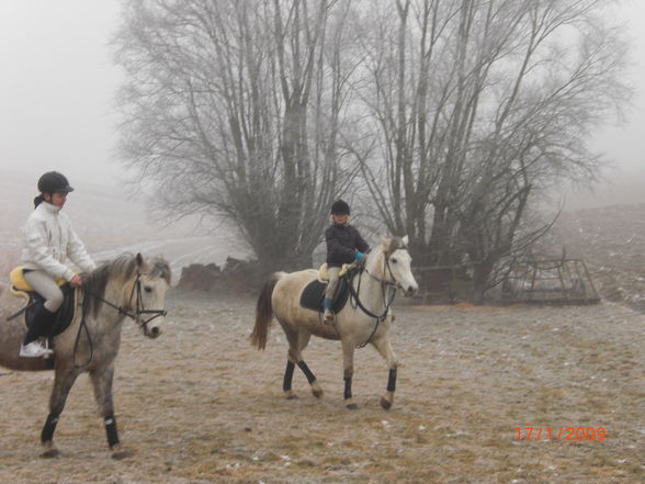 Zu Besuch bei den Ponny´s =) - 