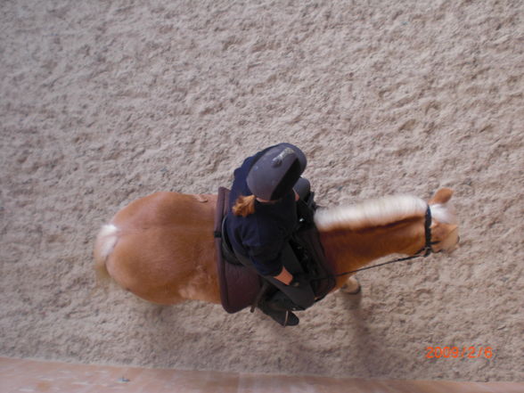 Cavalettistunde =) - 