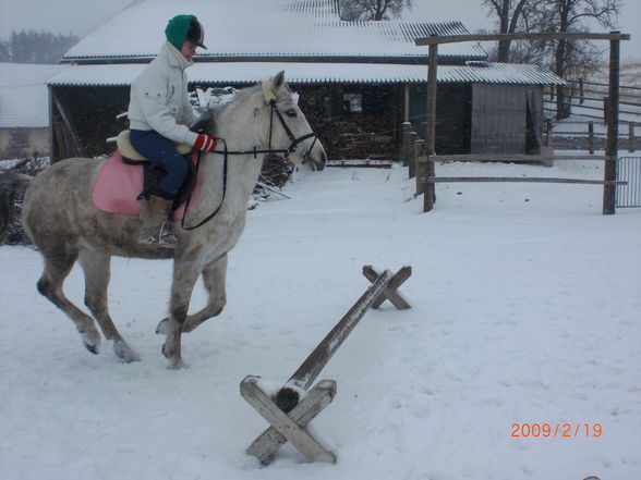 Datii & die Ponnys (: - 