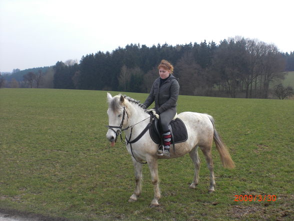 Ponnys im Frühling (: - 