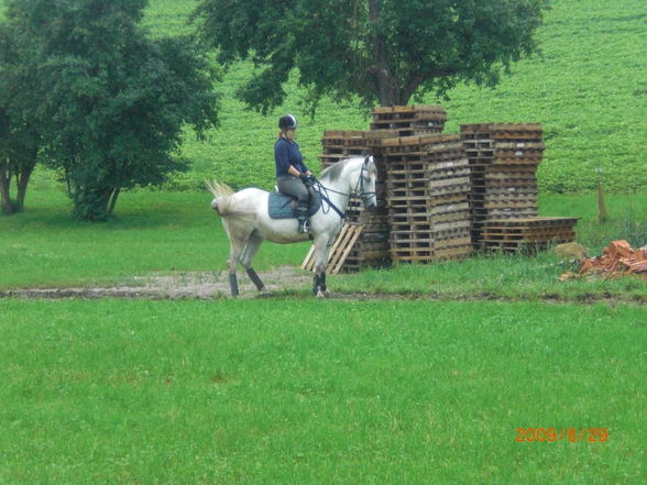 Verena und Dati bei den Ponnys =) - 