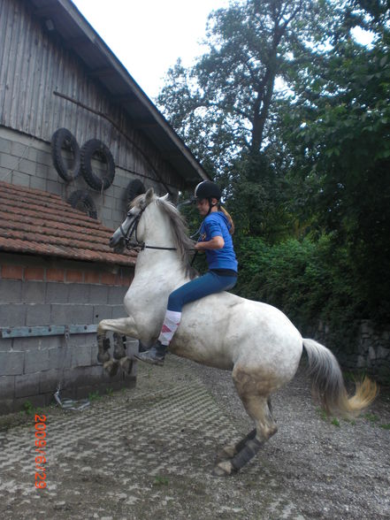 Verena und Dati bei den Ponnys =) - 