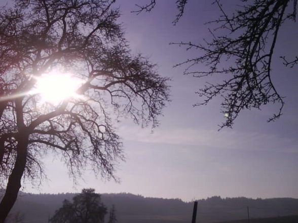 endlich Frühling - 