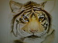 Bilder die ich 2009 Gemalt Hab - 