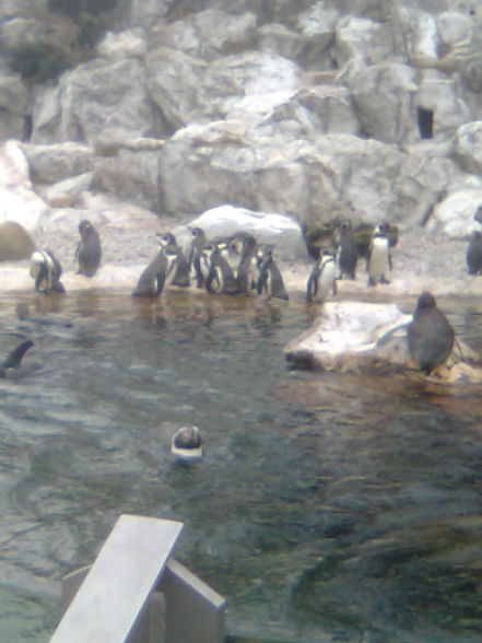 Tierpark Schönbrunn - 