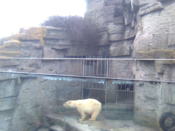 Tierpark Schönbrunn - 