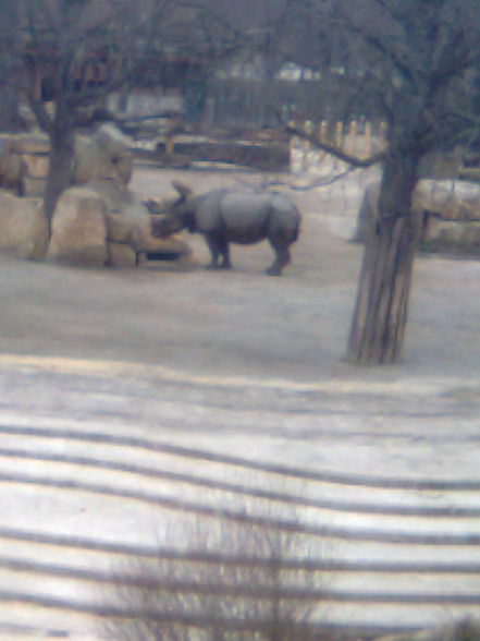 Tierpark Schönbrunn - 