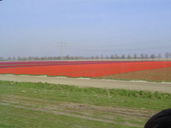 Holland - 