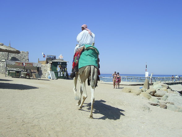 urlaub ägypten 2006 - 