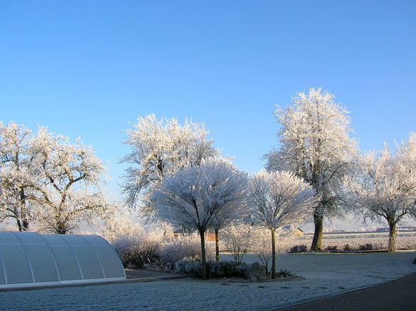 Beautiful Countryside - 