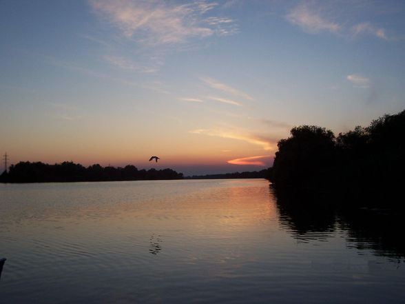 DANUBE DELTA - Donau Delta  - 