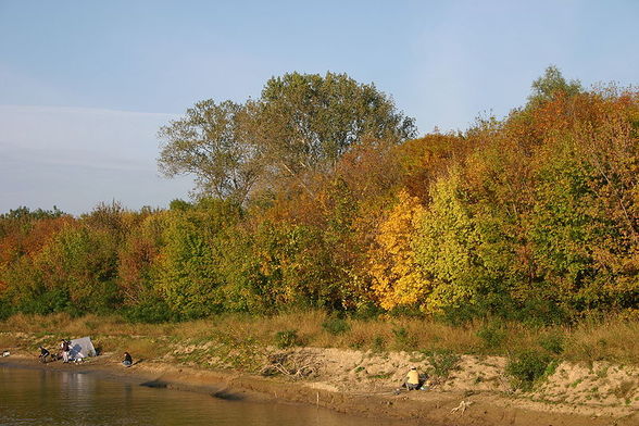 DANUBE DELTA - Donau Delta  - 