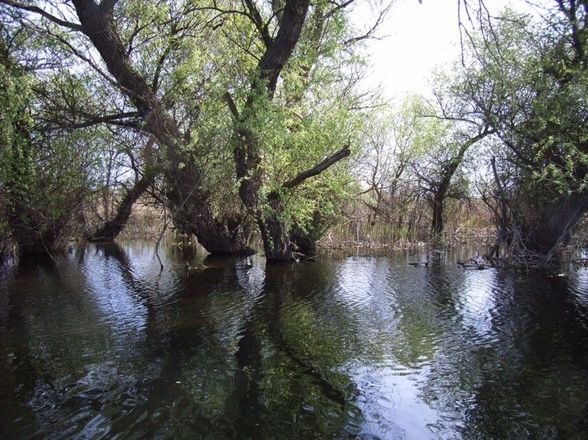 DANUBE DELTA - Donau Delta  - 