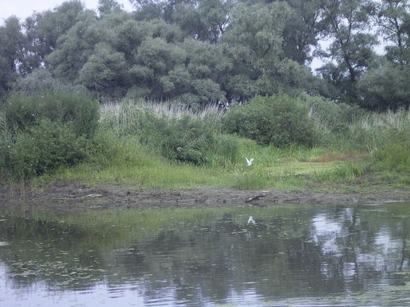 DANUBE DELTA - Donau Delta  - 