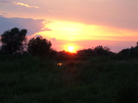 DANUBE DELTA - Donau Delta  - 