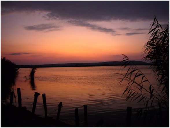 DANUBE DELTA - Donau Delta  - 