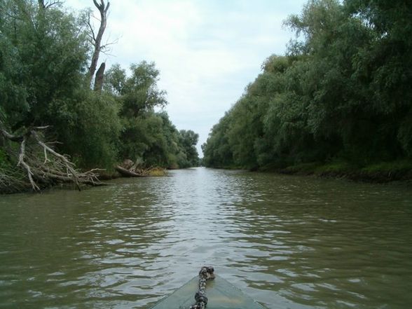 DANUBE DELTA - Donau Delta  - 