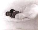 Anne Geddes - 