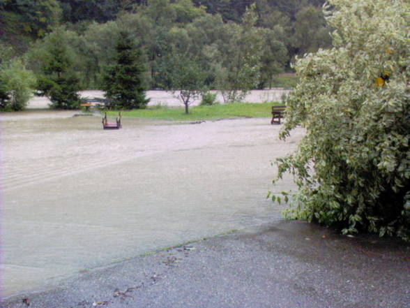 hochwasser - 