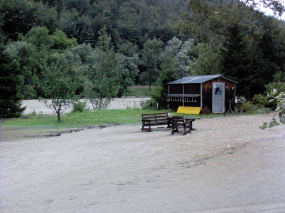 hochwasser - 