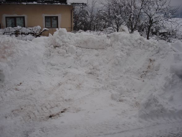 Winter 2008 - 2009 .... schneechaos - 