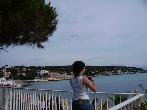 ~+~ 20 Cannes 08 ~+~ - 