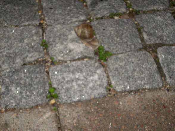 Zusammensitzen im Titgenkollegiet - 