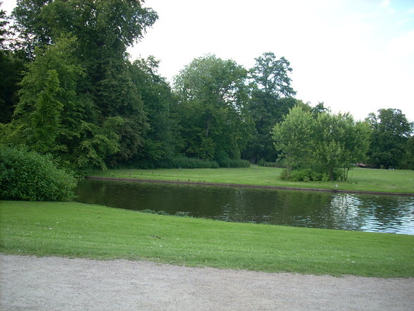 eine Runde im Park ..... - 