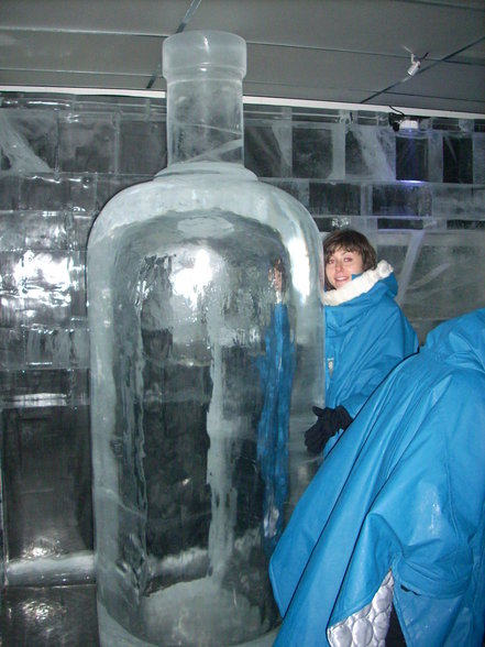 Eisbar und Tietgenkolleg - 