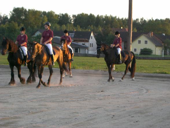 Reitfestival in Mitterkirchen - 