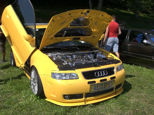 VW-Audi Treffen Waldhausen 2007 - 