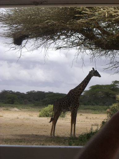 Kenia 2009 - 