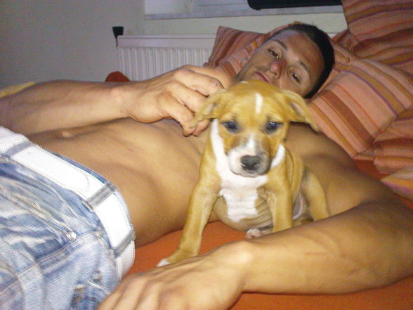 Benji & Me - 